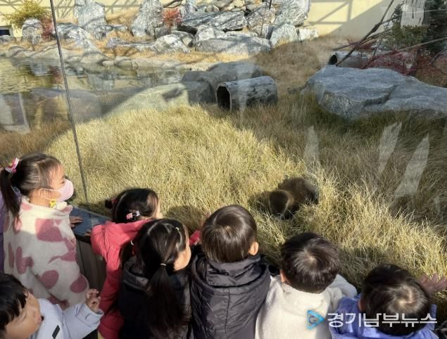 충주아쿠아리움, 수달 공개 시작!