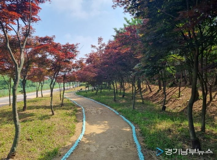 김포 홍단풍 나무숲길