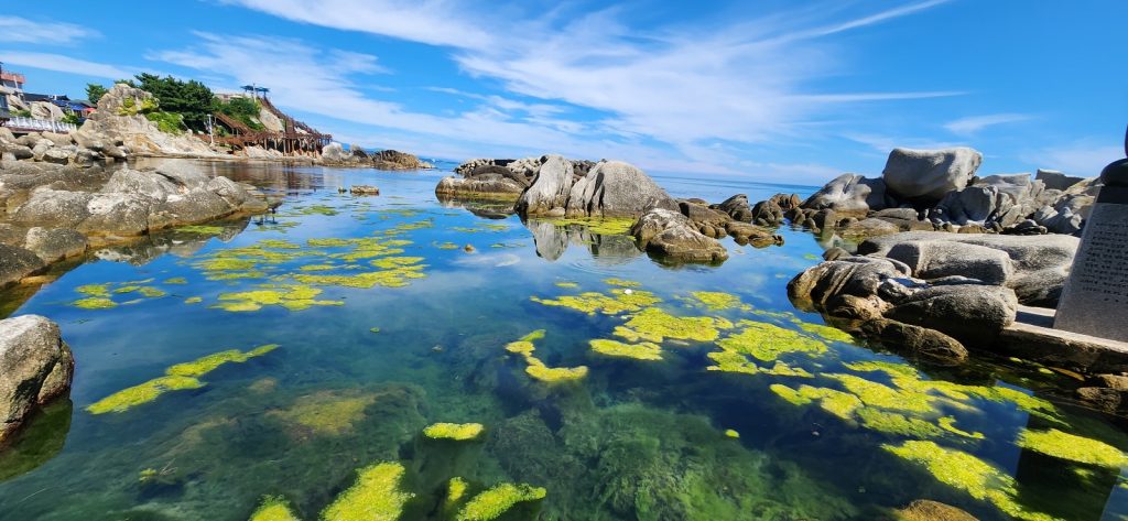 한폭의 아름다운 그림을 화폭에 담은듯하다. 사진 배건일, 경기남부뉴스