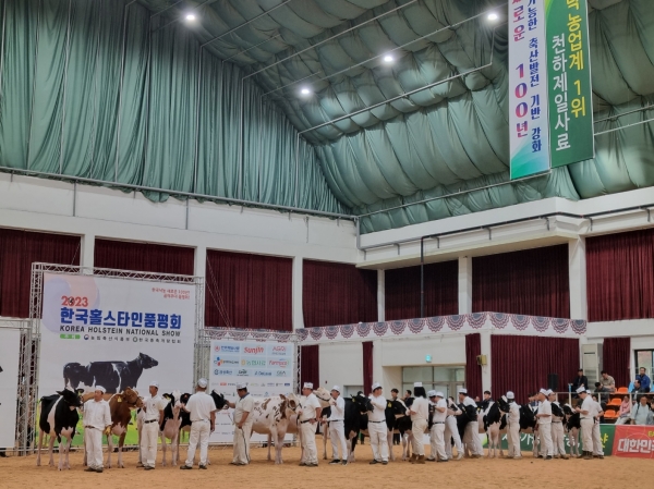 여주시 축산농가 한국홀스타인품평회 13개부문 수상