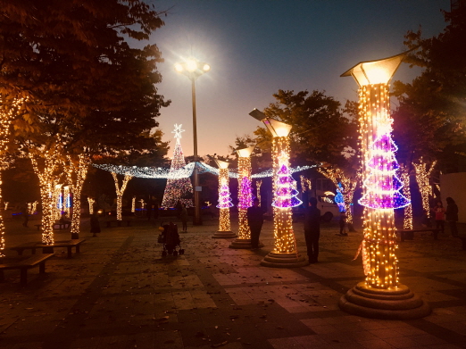성남시 복정 어울림 빛축제 수목과 기둥 조명(2018년 자료사진)