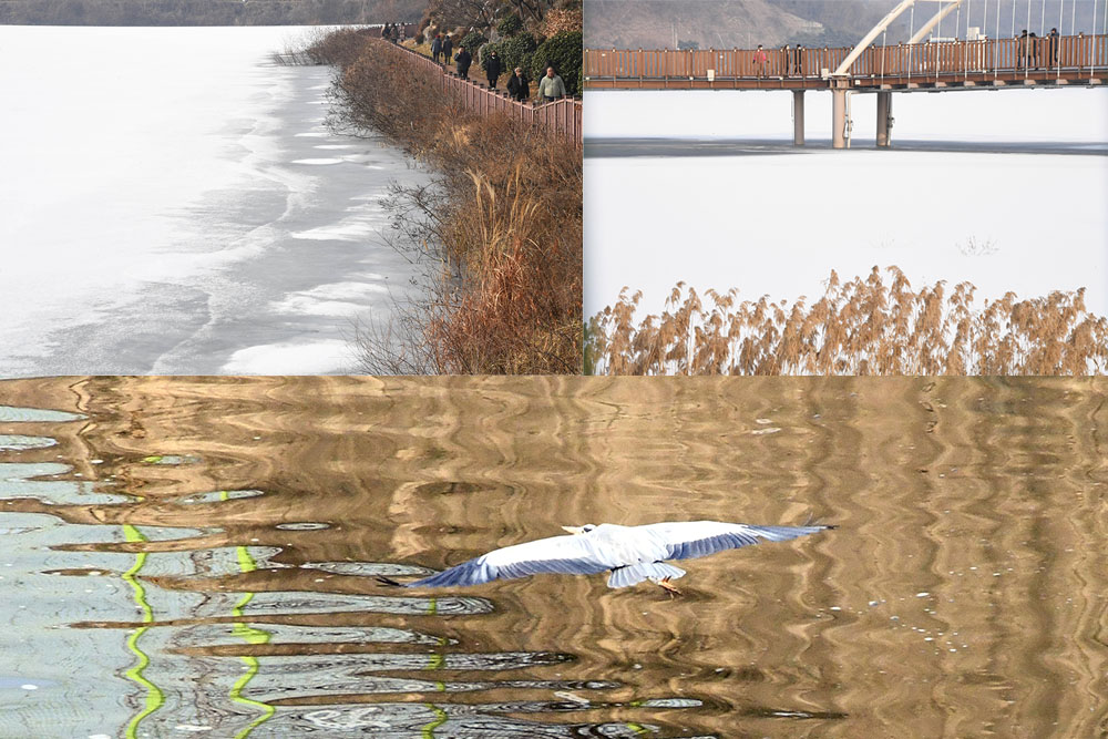 시흥시 물왕호수공원 모습. 2024.1.14