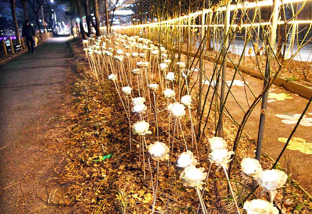 시흥시 정왕동의 '옥구천' 반딧불이 야간조명