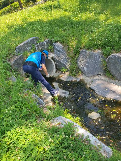 광교호수공원, 만석공원 등 모기유충 4월부터 잡는다