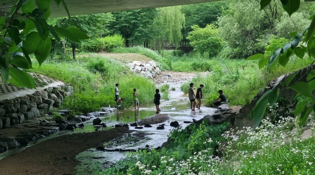 장마비가 잠시 멈춘사이 아이들이 하천에서 물놀이를 즐기고 있다. 이번 장마는 7월 중순까지 이어질 전망이다.