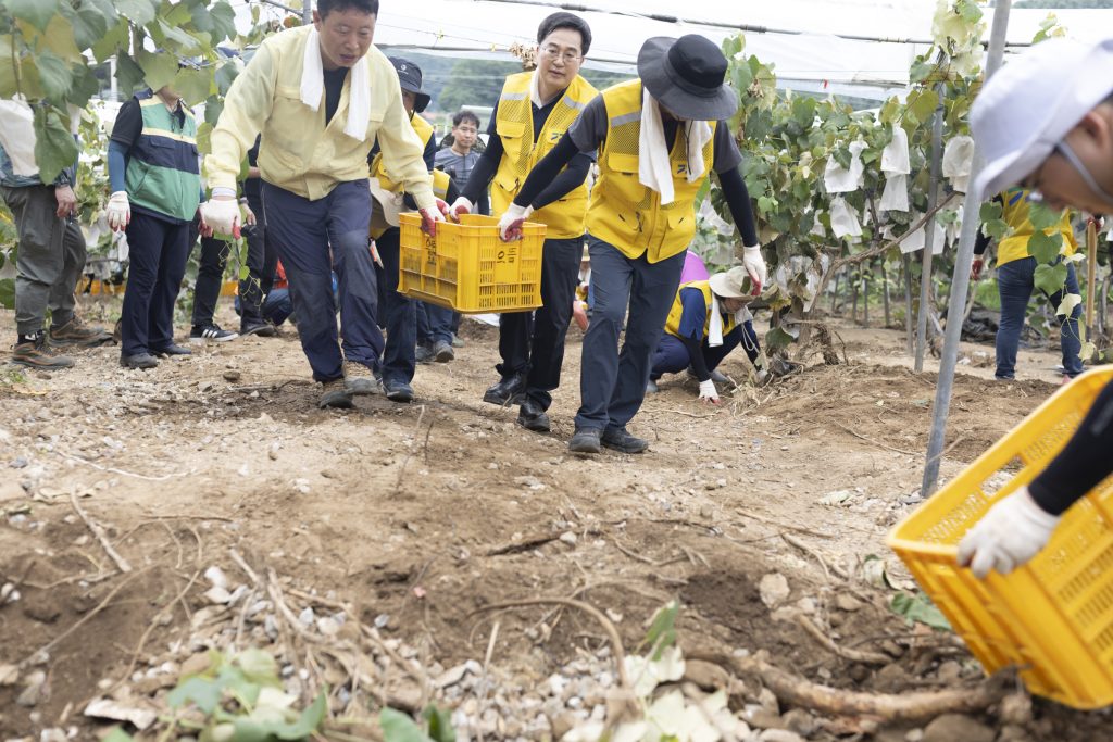 31일 오전 김동연 경기도지사가 가평군 호우피해 지역을 방문해 수해복구 자원봉사를 하고 있다.