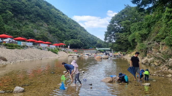 장령산 계곡 사진: 김정옥, 경기남부뉴스